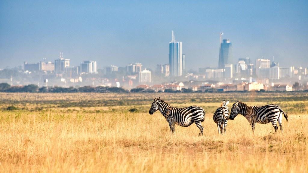 Nairobi Skyline con Parque Nacional