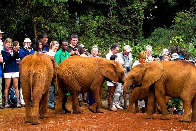 Sheldrick Wildlife Trust